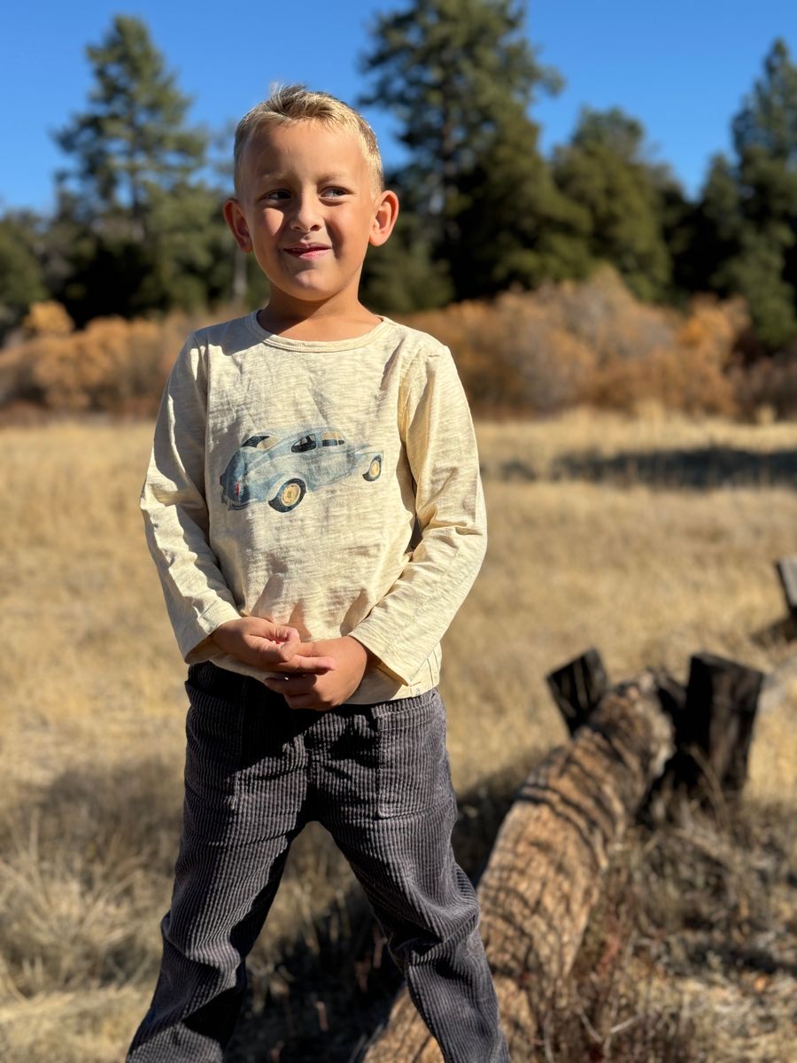 CHEROKEE Beige Beetle Raglan Printed Tee - Joy