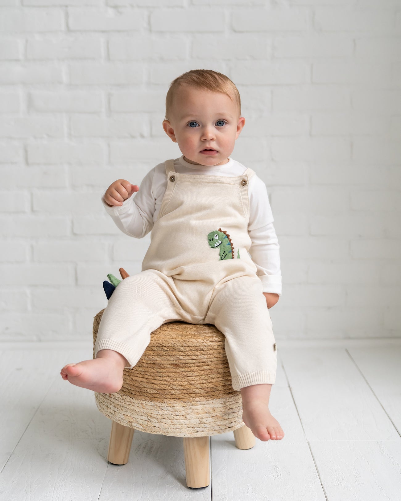 Dino Jacquard Knit Baby Overall & Bodysuit Set - Joy