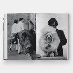DogDogs - Joy