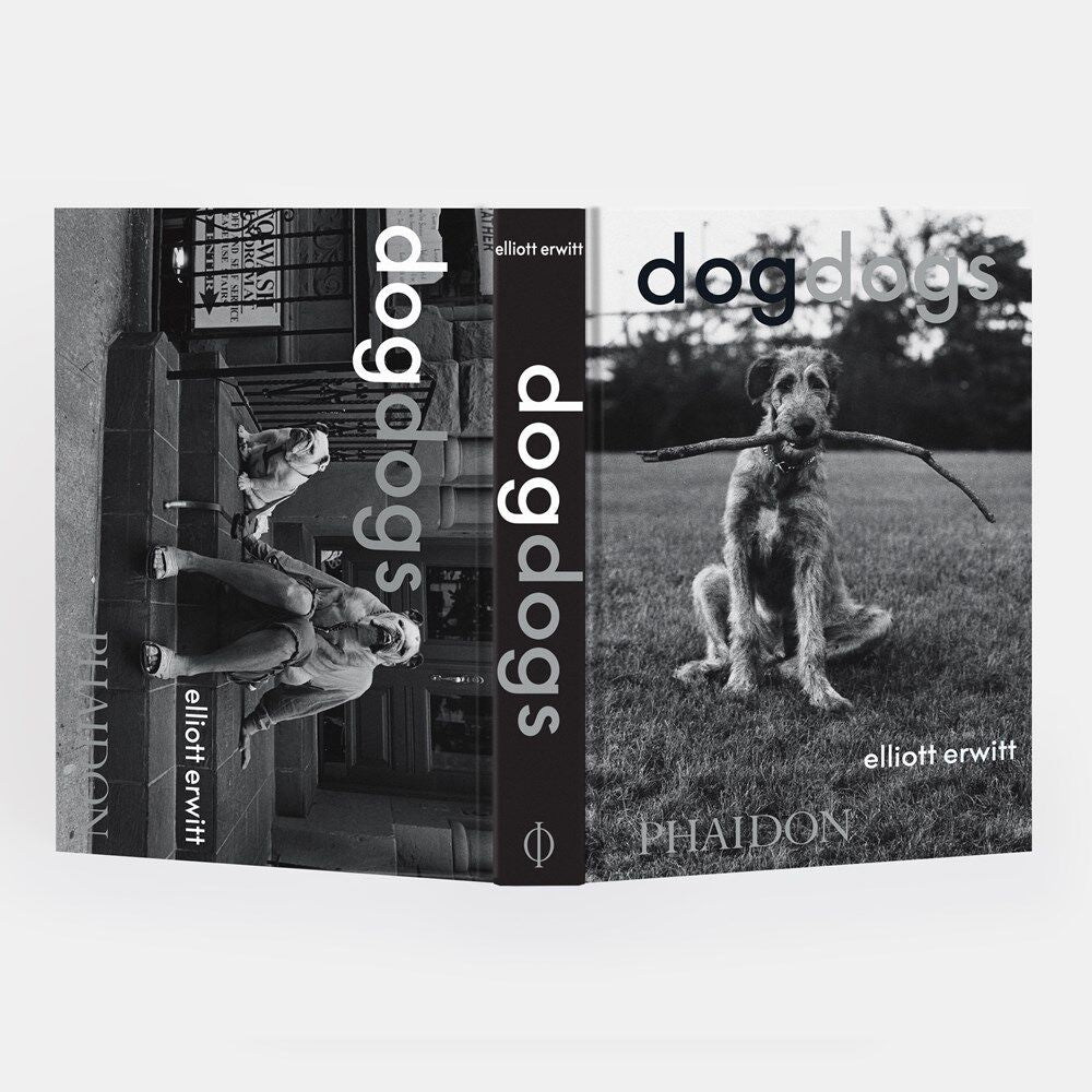 DogDogs - Joy