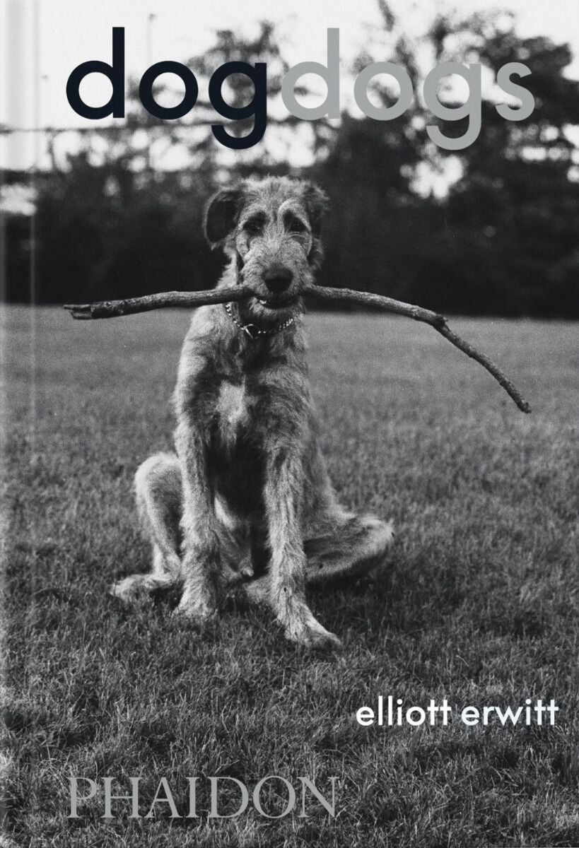 DogDogs - Joy