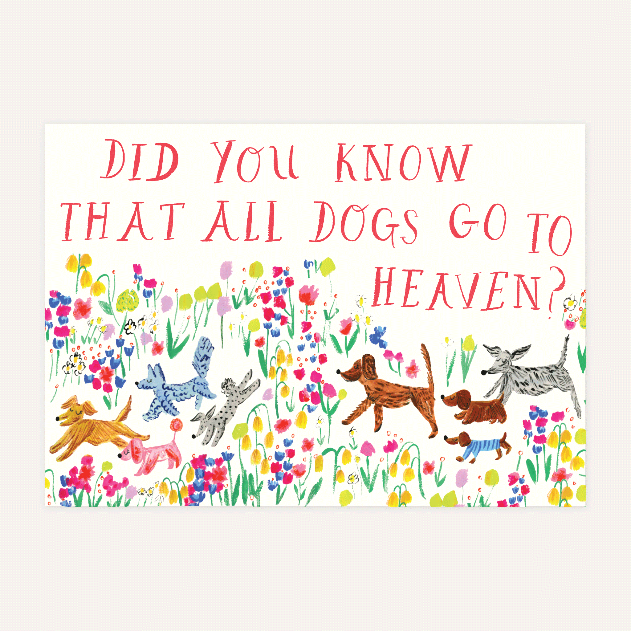Doodle in a Meadow - Dog/Pet Sympathy Card - Joy