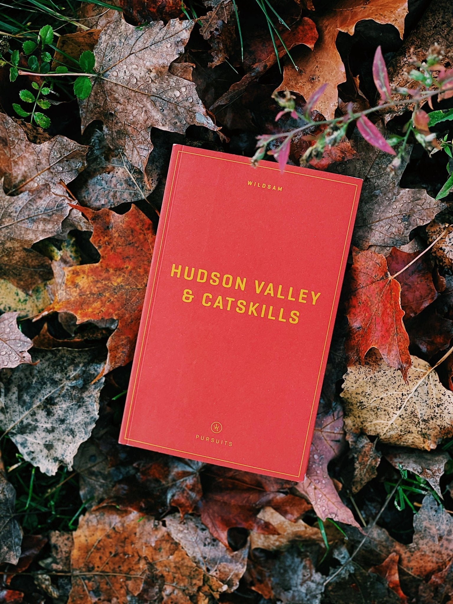 Hudson Valley & Catskills - Joy