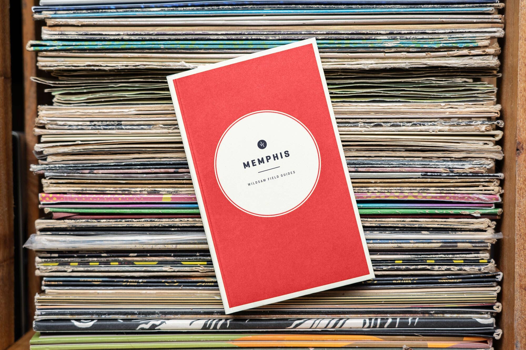 Memphis Field Guide - Joy