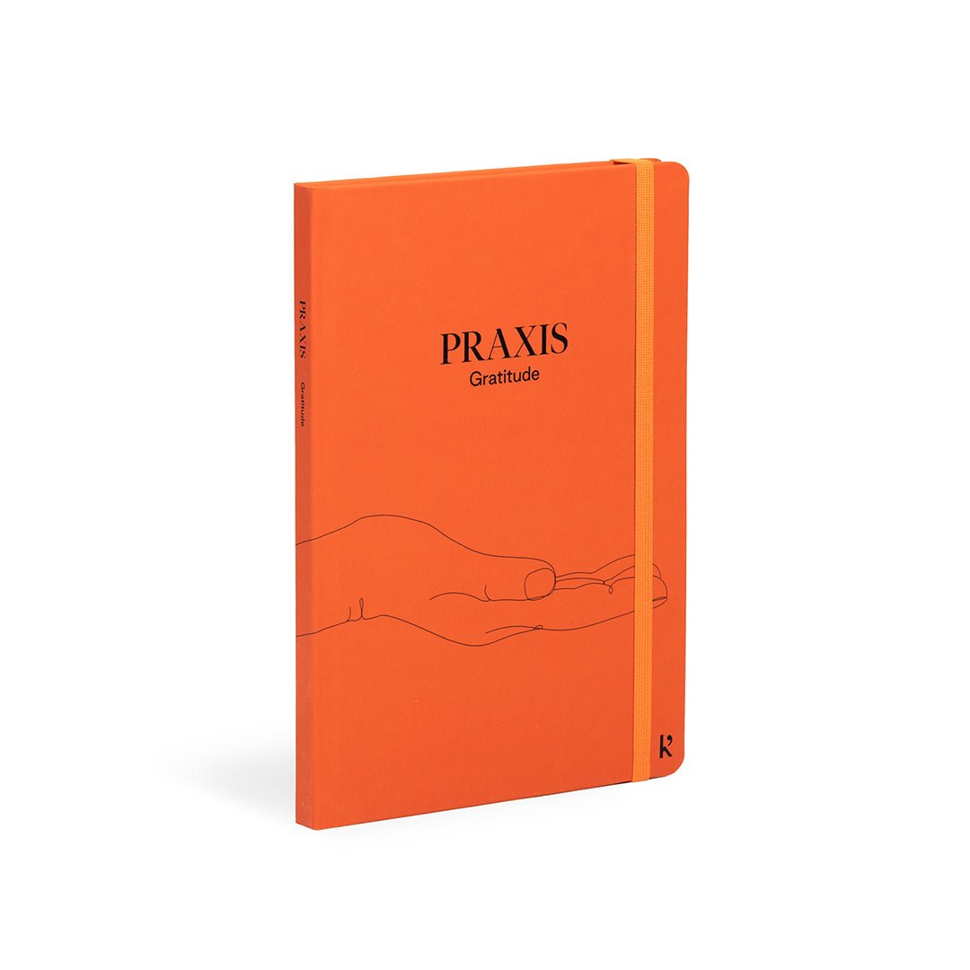 Praxis Method - Set of 3 A5 Journals - Joy