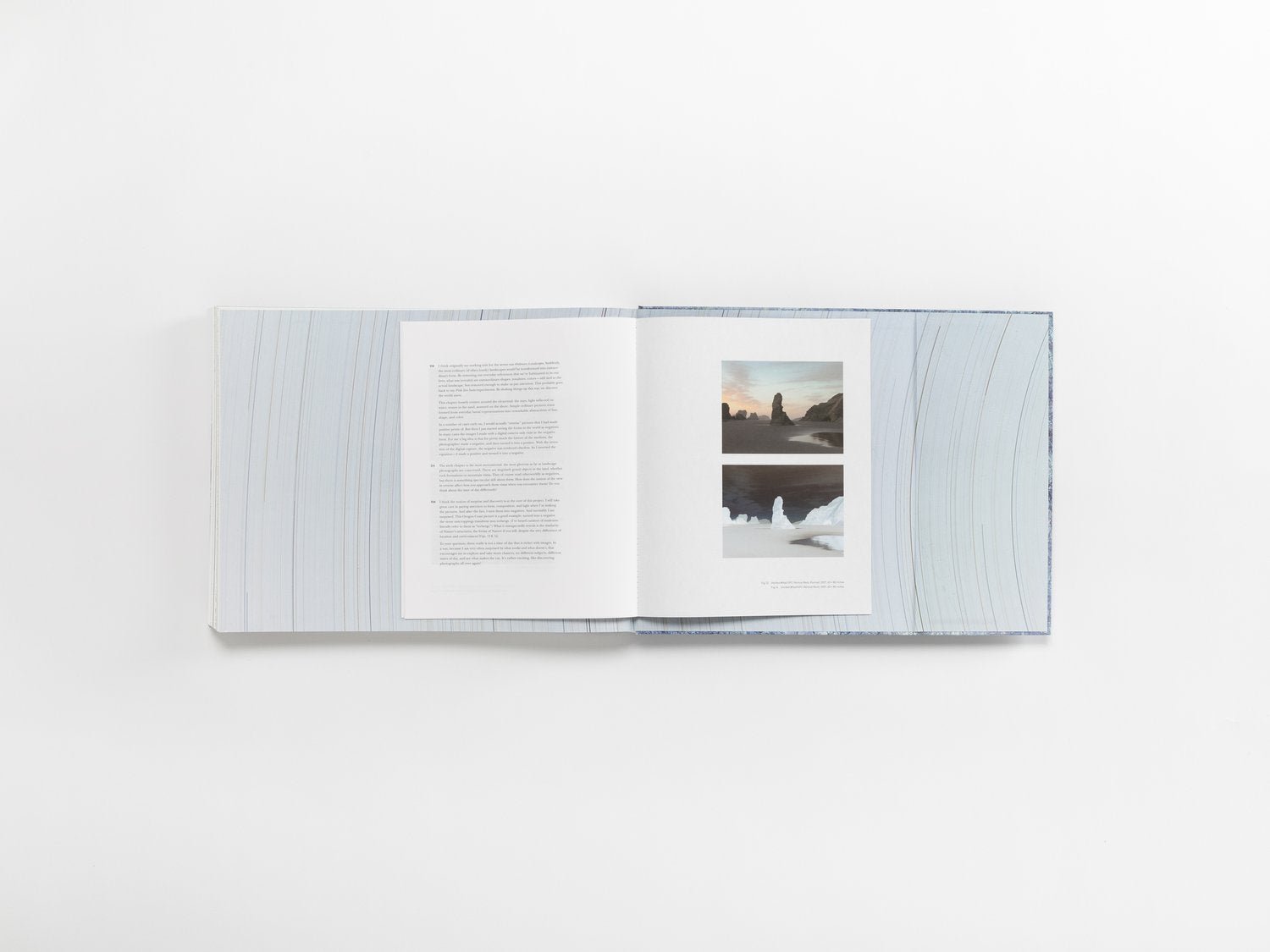 Richard Misrach: Notations - Joy