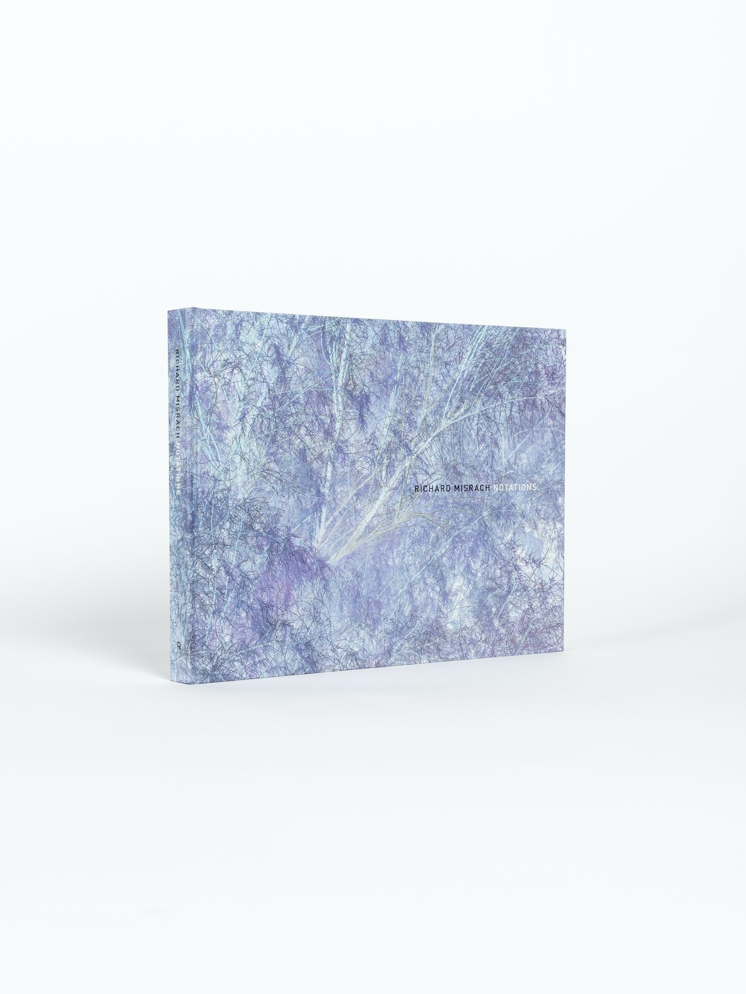 Richard Misrach: Notations - Joy