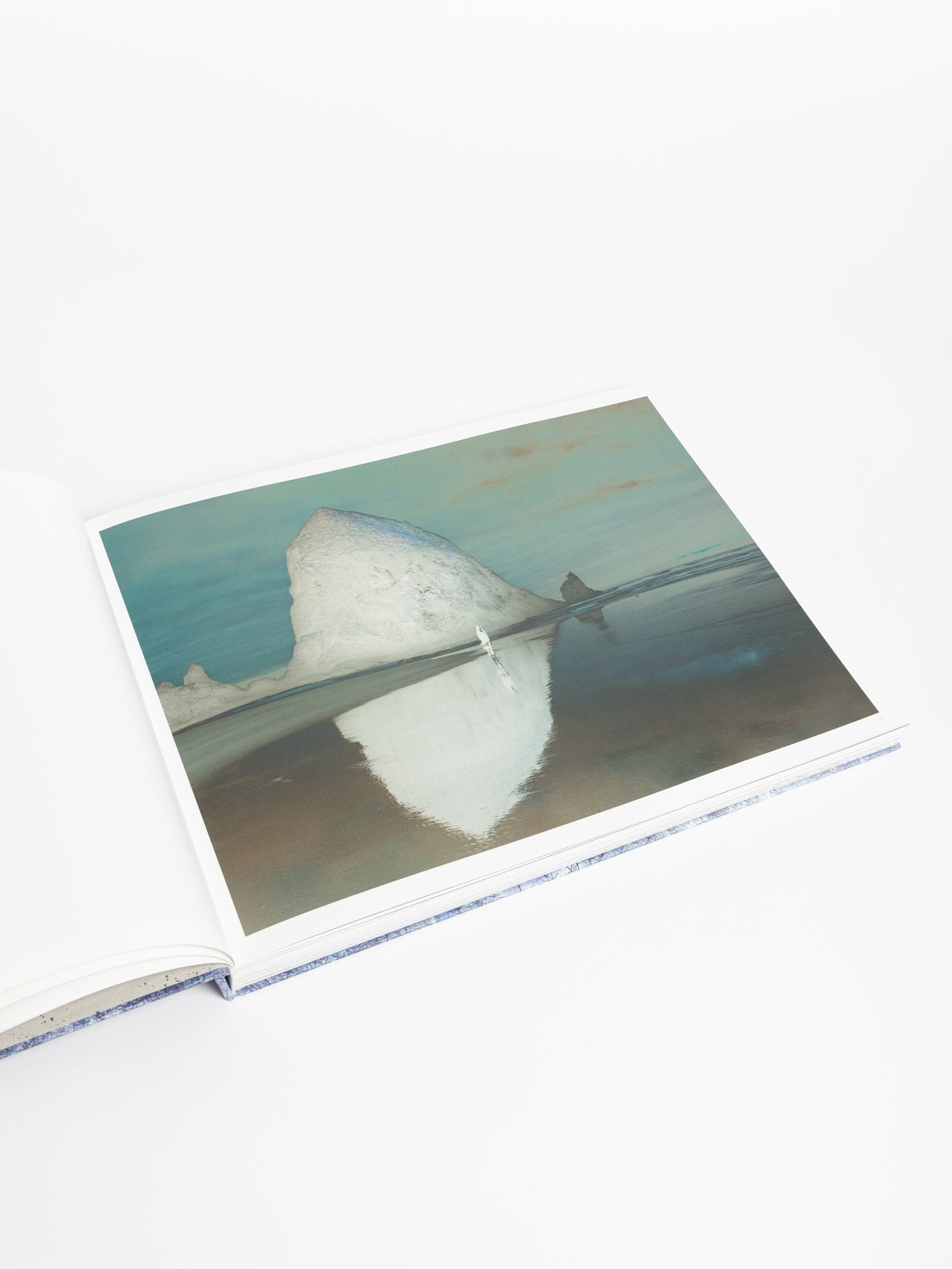 Richard Misrach: Notations - Joy