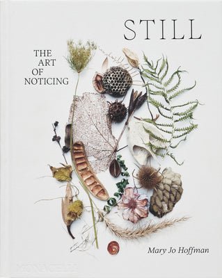 STILL: The Art of Noticing - Joy