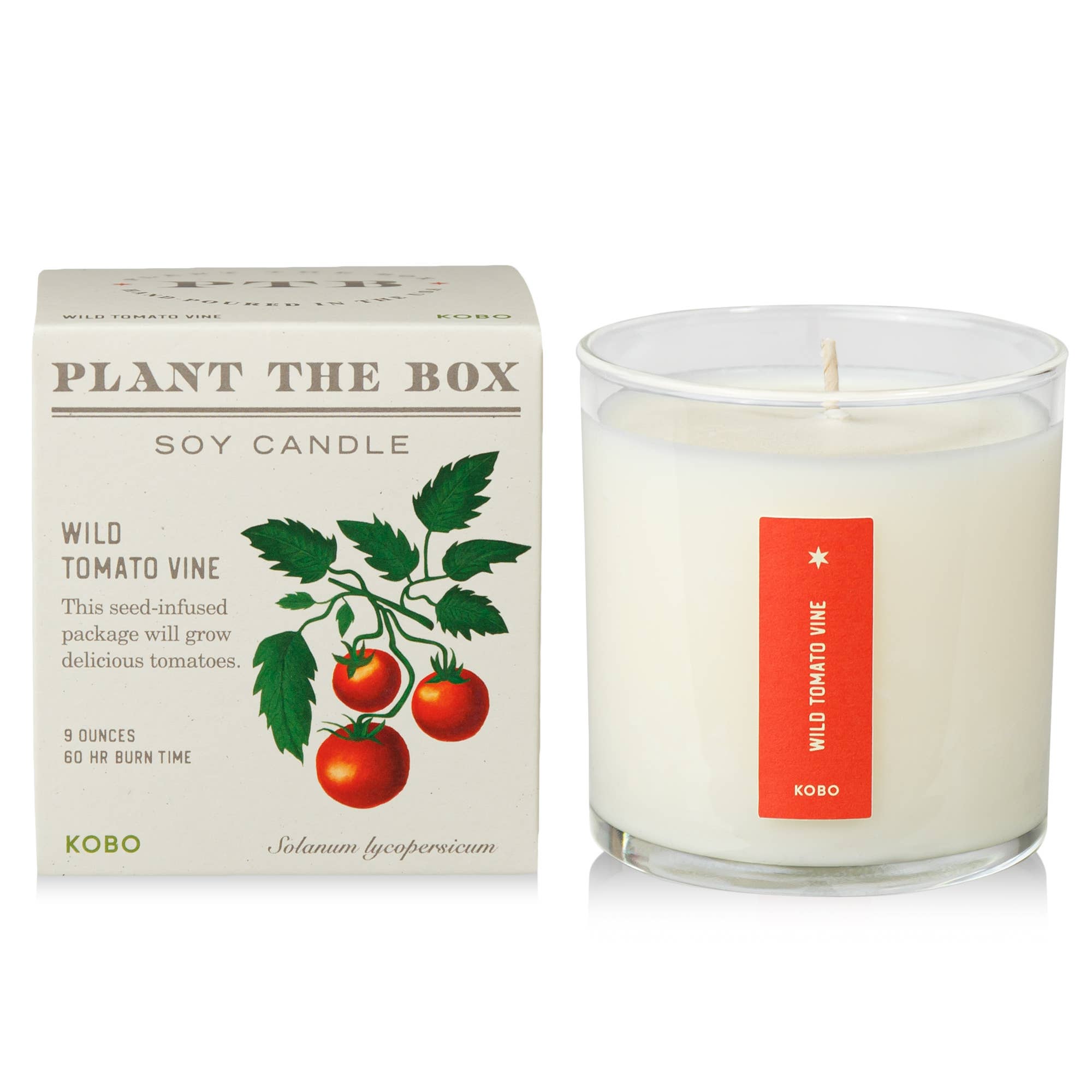 Wild Tomato Vine - Plant the Box Candle - 9oz. - Joy
