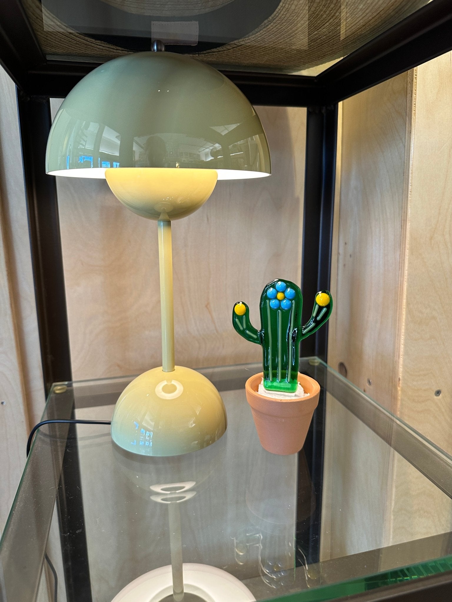 Flower Striped Cactus - Joy