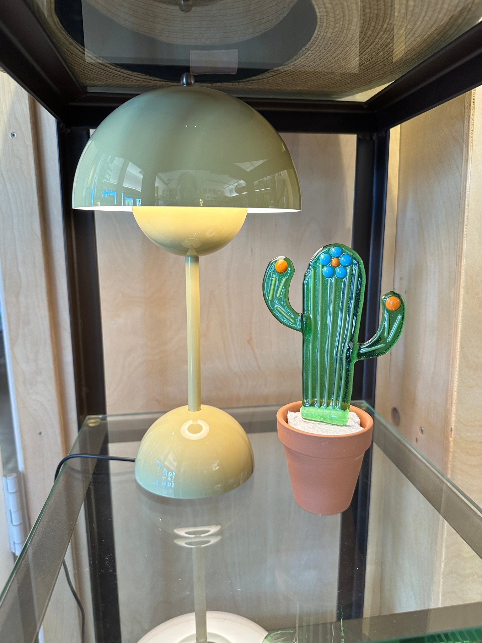 Flower Striped Cactus - Joy