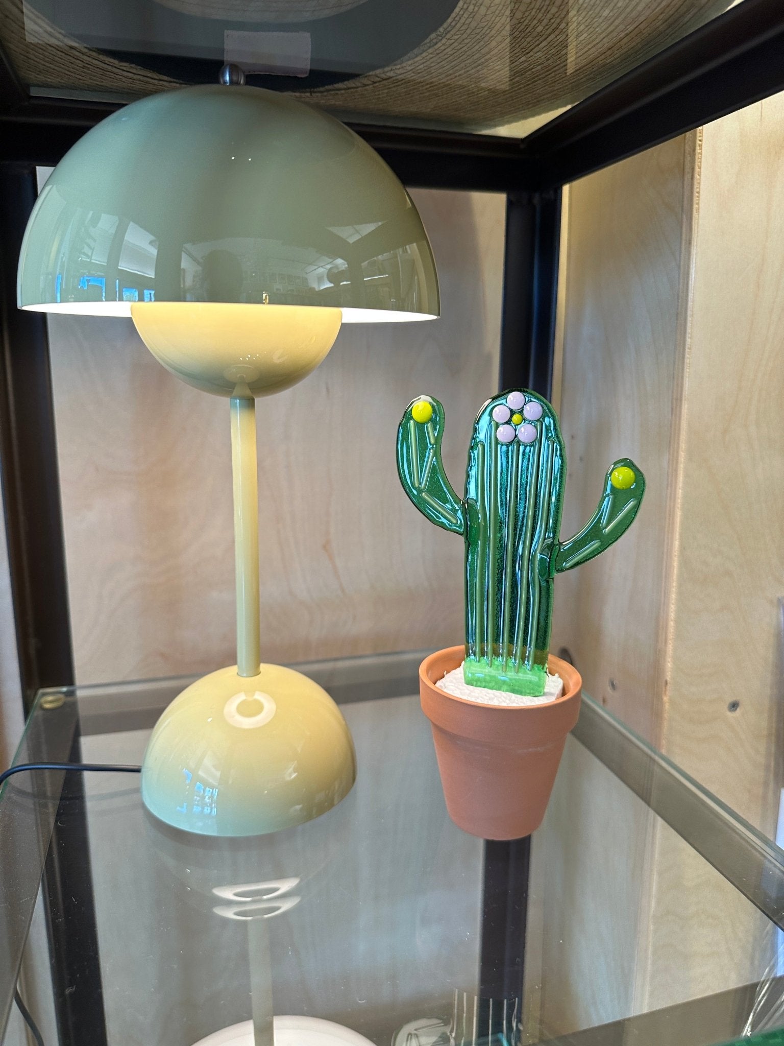 Flower Striped Cactus - Joy