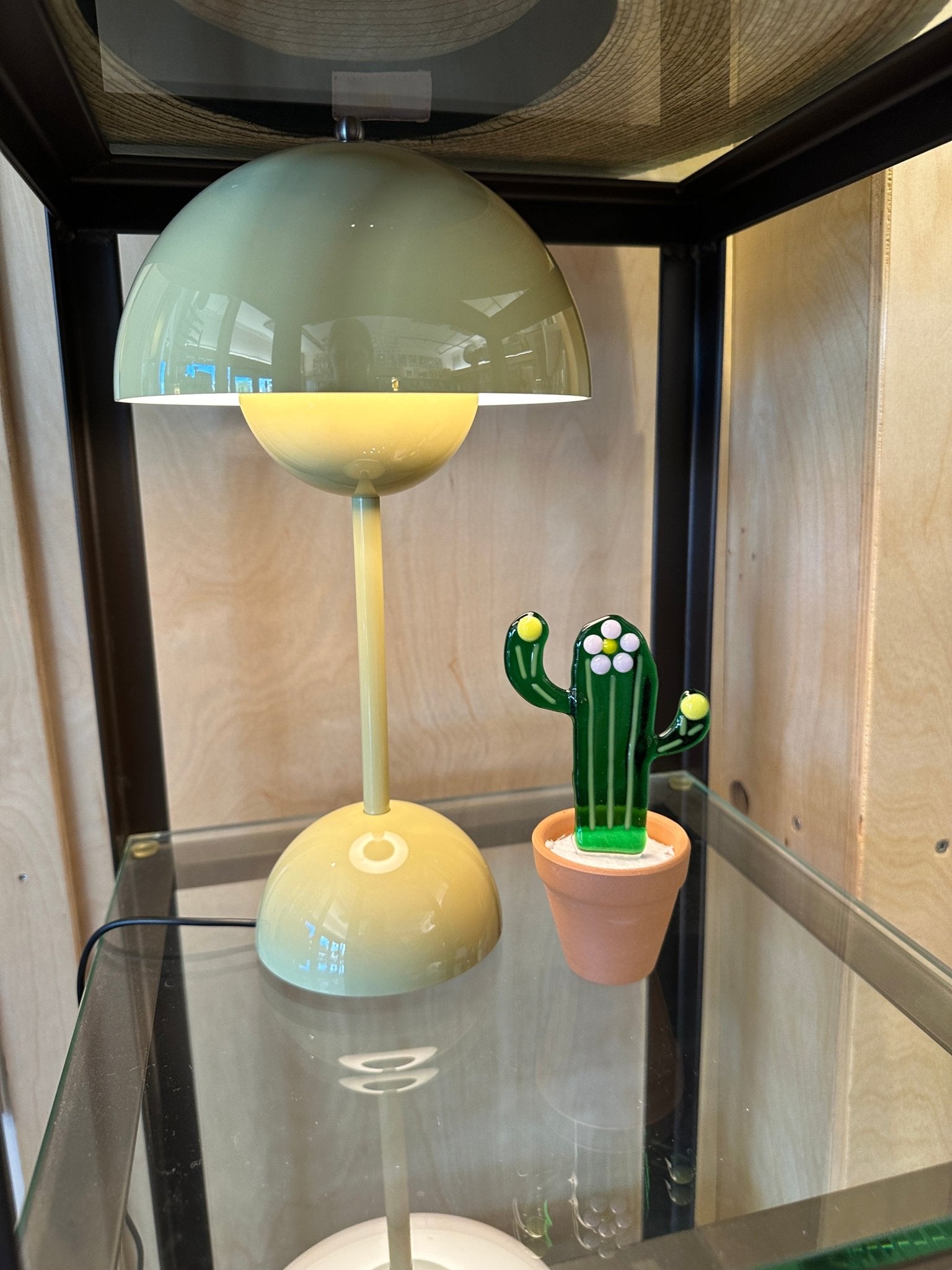 Flower Striped Cactus - Joy