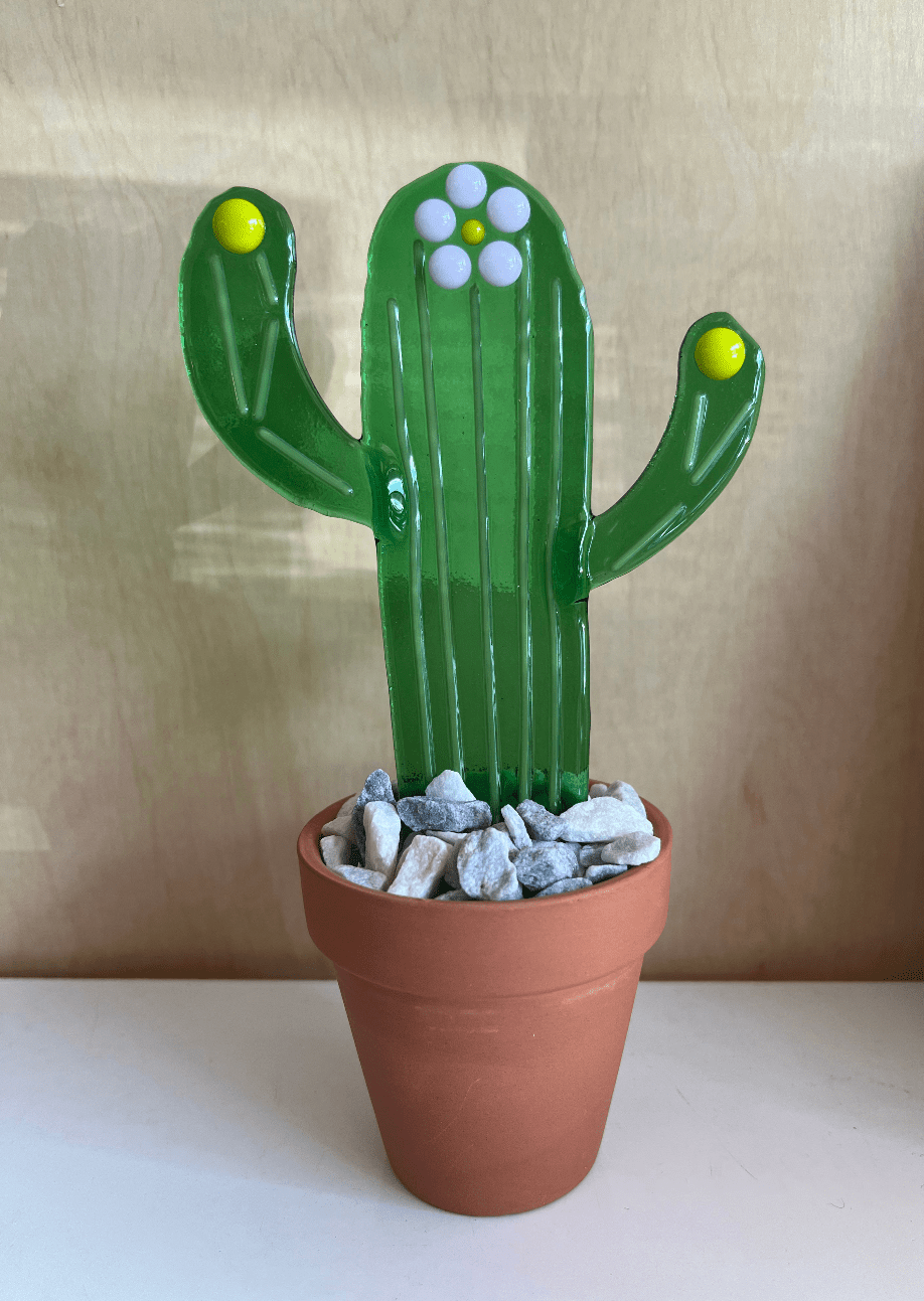 Flower Striped Cactus - Joy