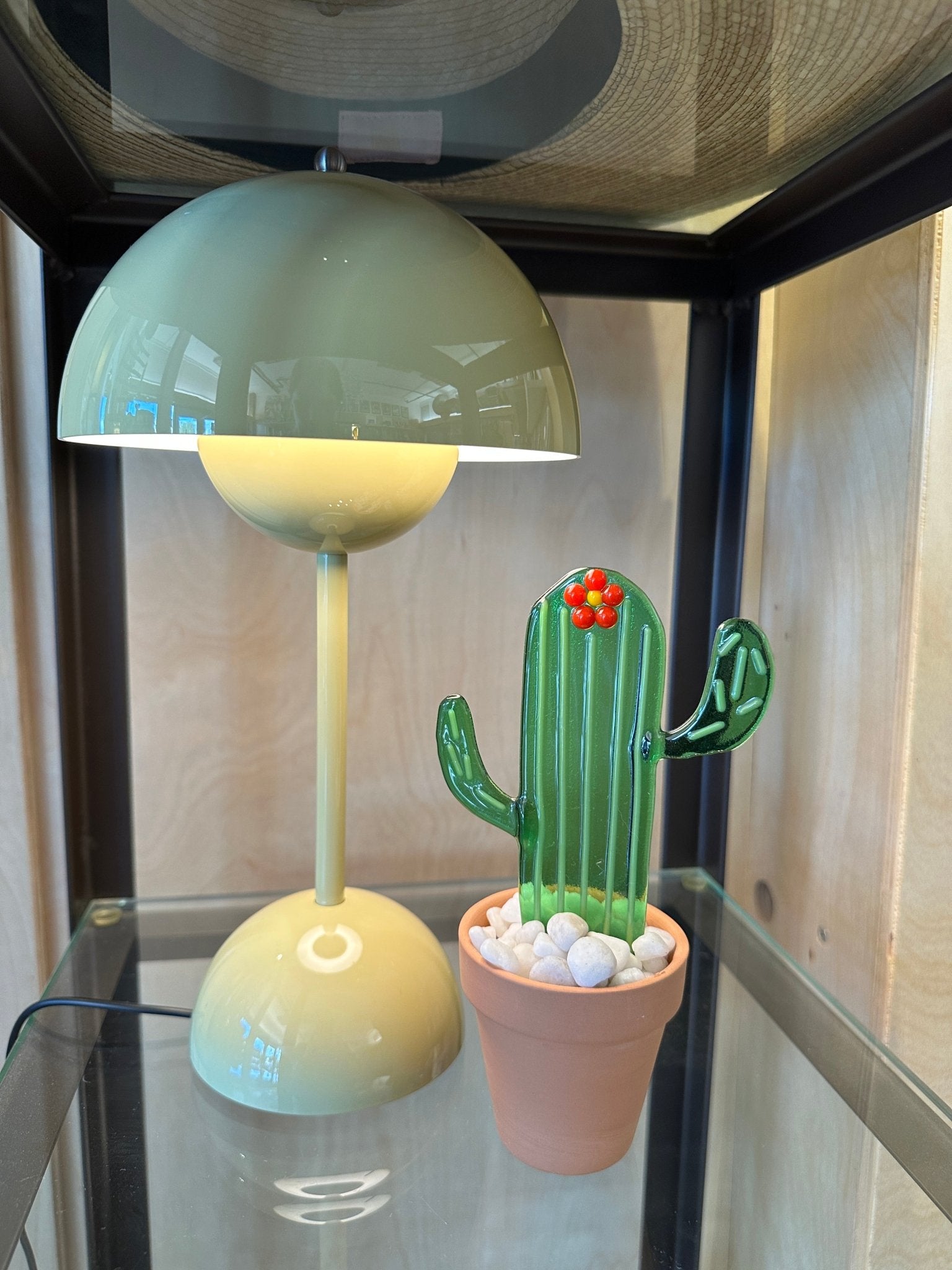 Flower Striped Cactus - Joy