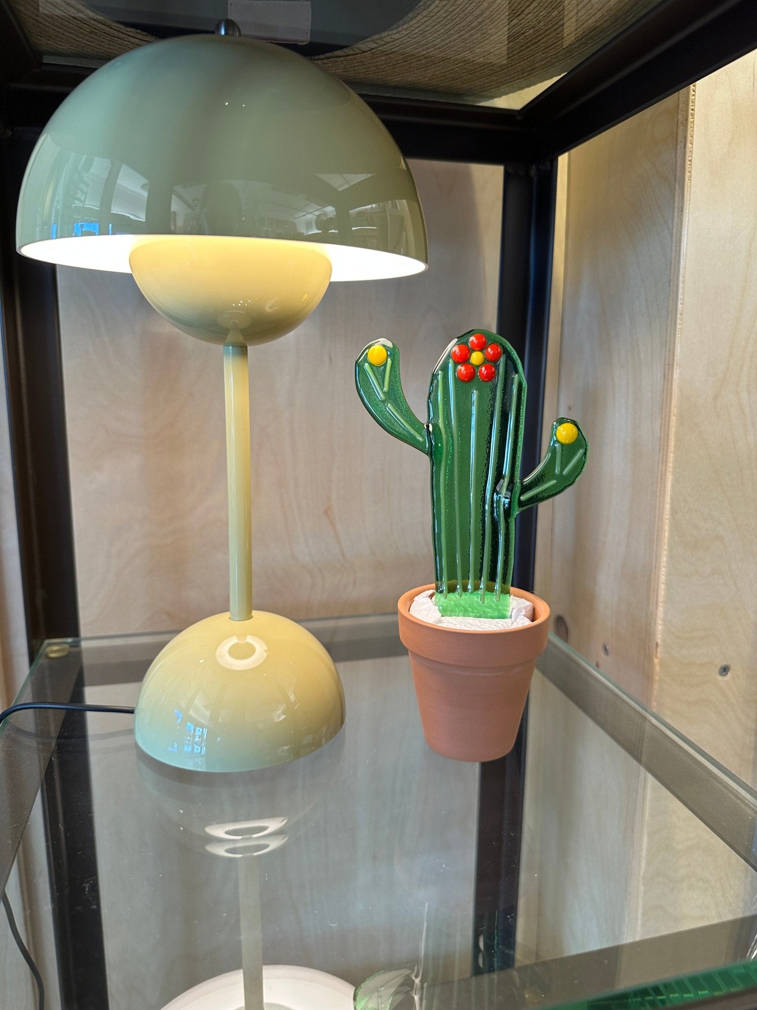 Flower Striped Cactus - Joy