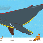 "How big is big? How far is far?" Book - Joy