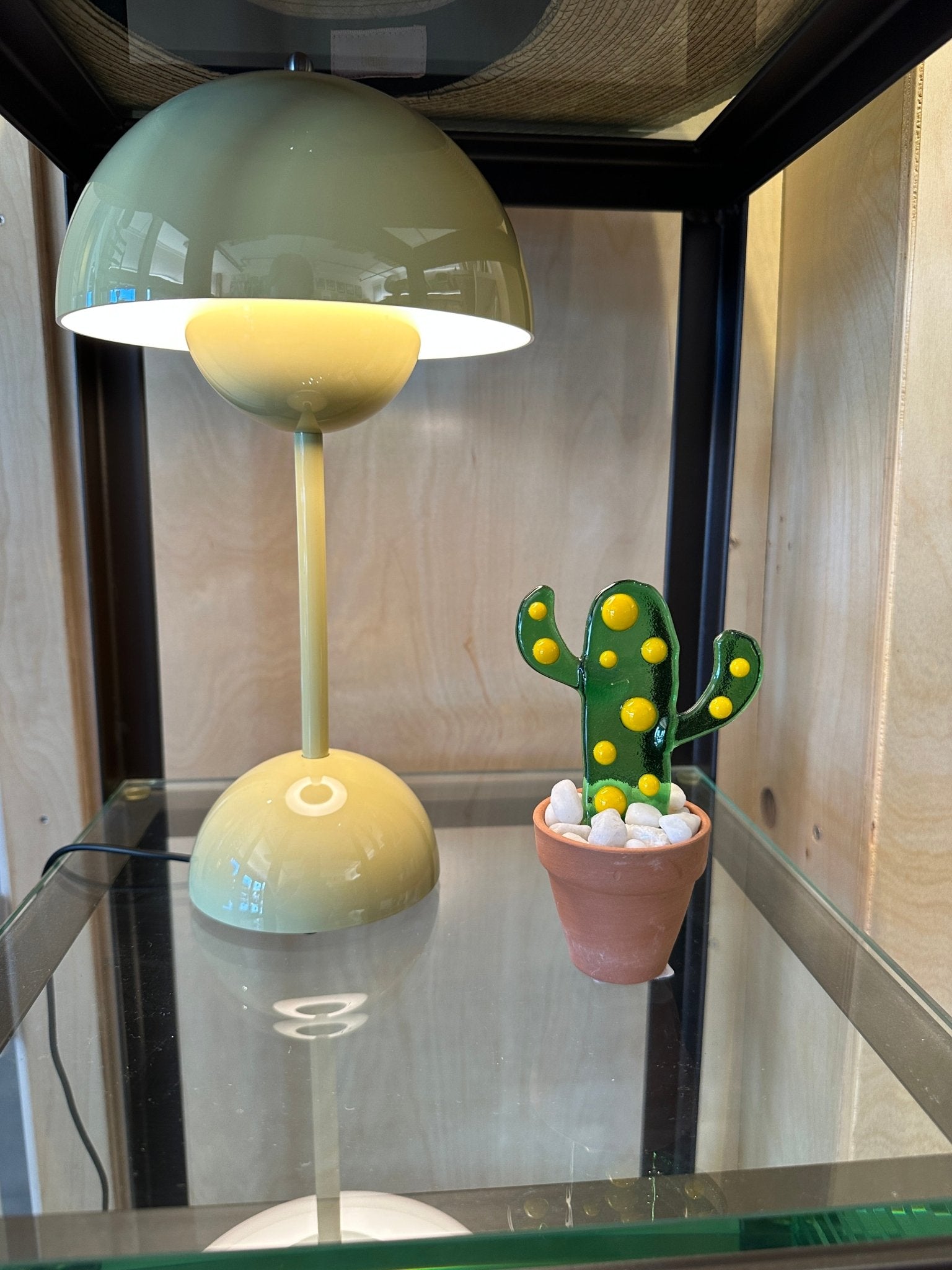 Spotted Cactus - Joy