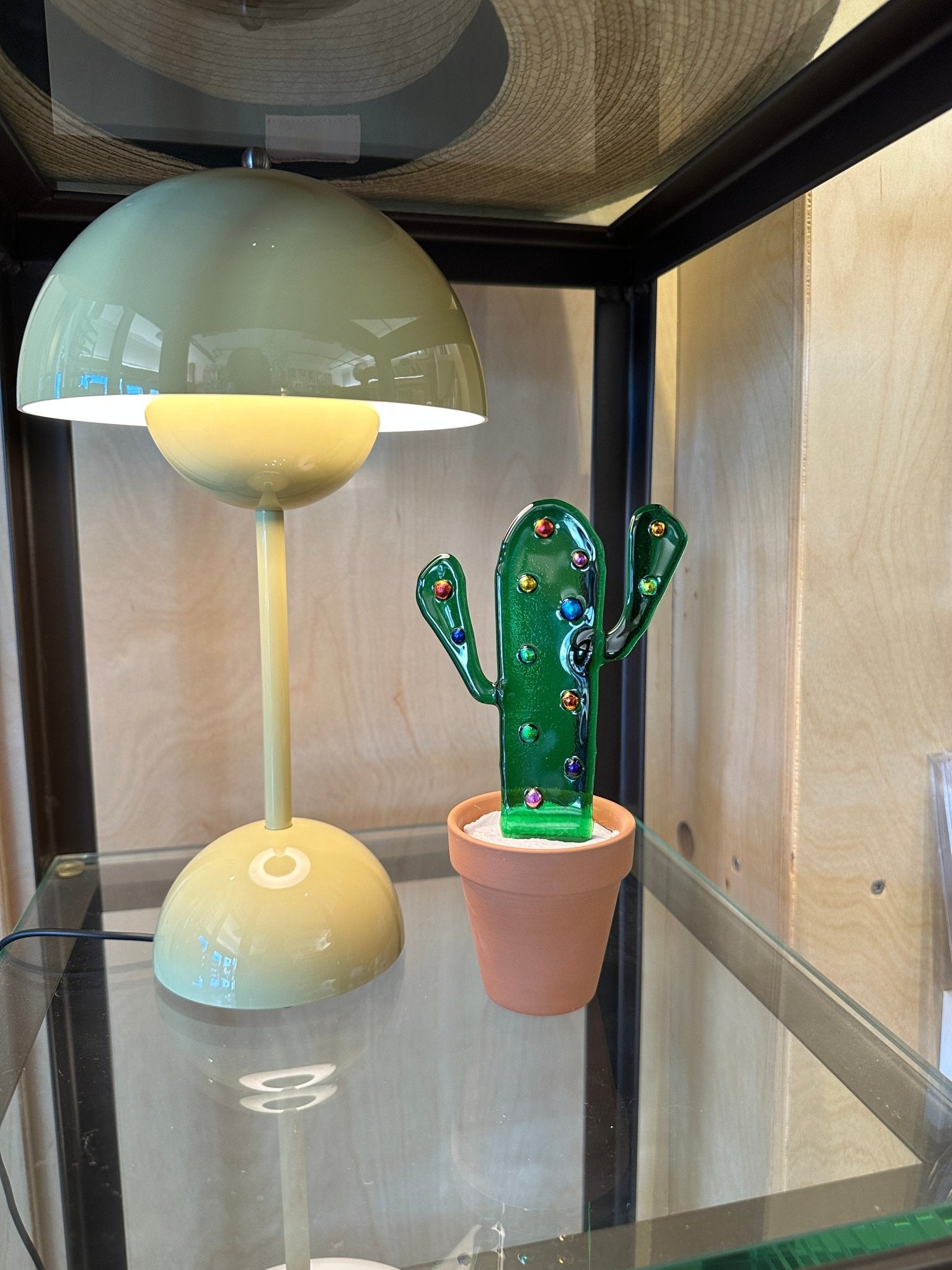 Spotted Cactus - Joy