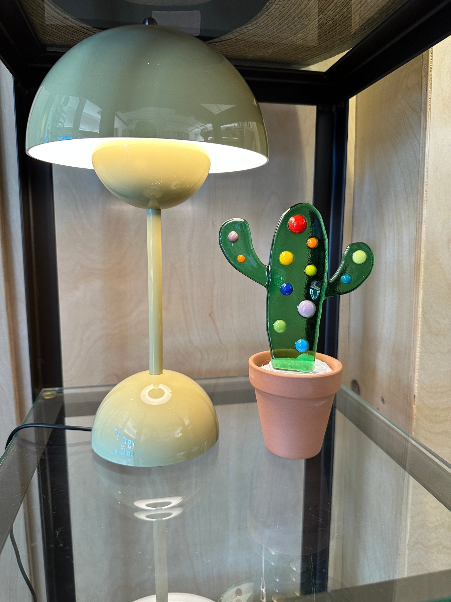 Spotted Cactus - Joy
