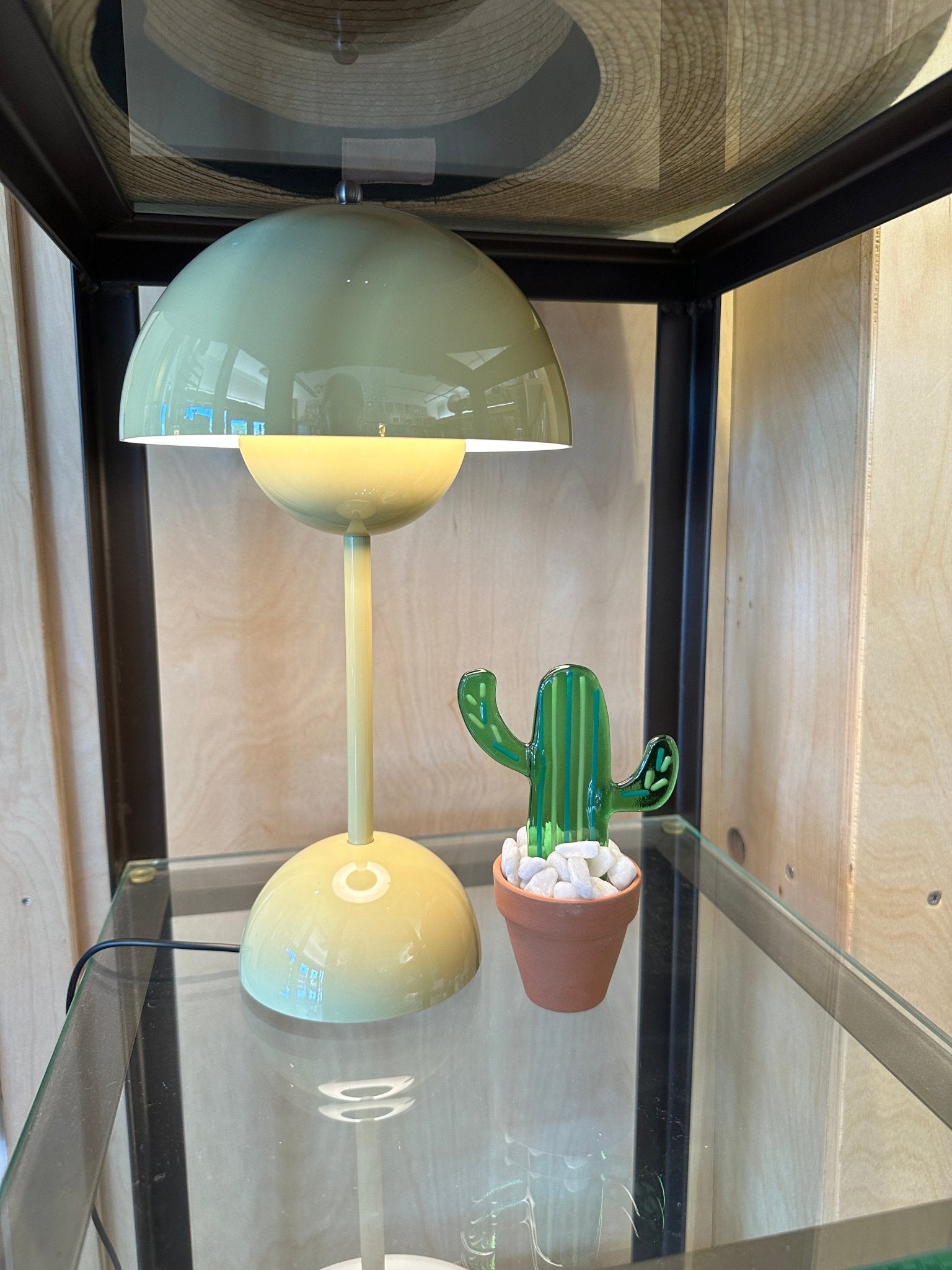 Striped Cactus - Joy