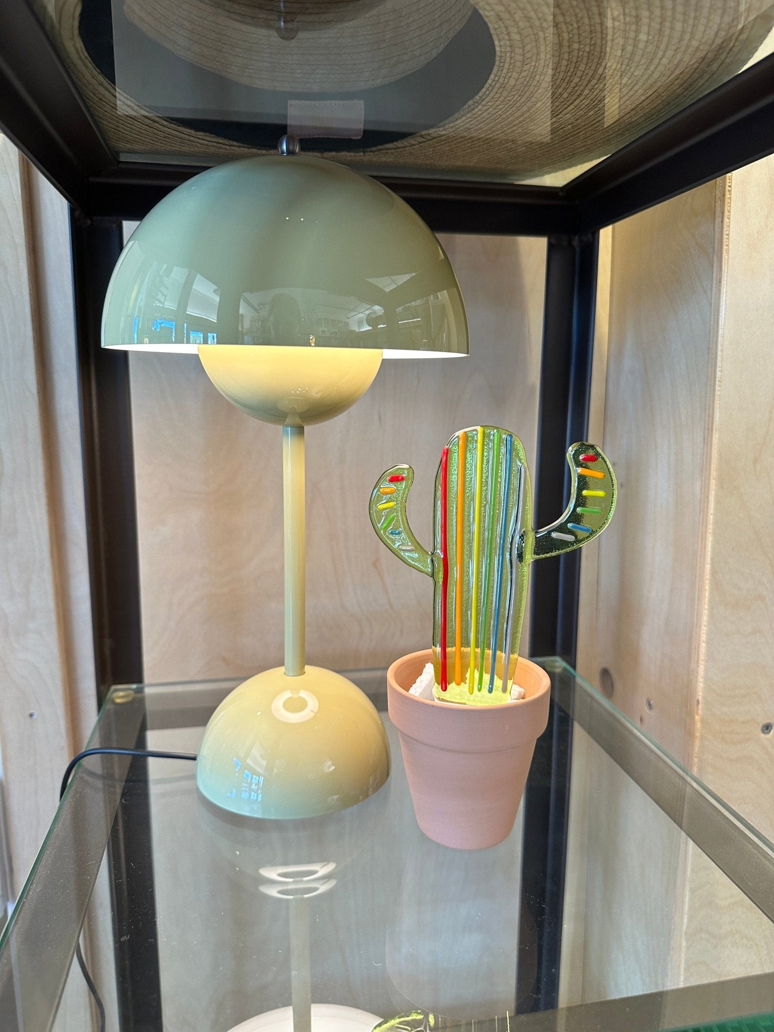 Striped Cactus - Joy