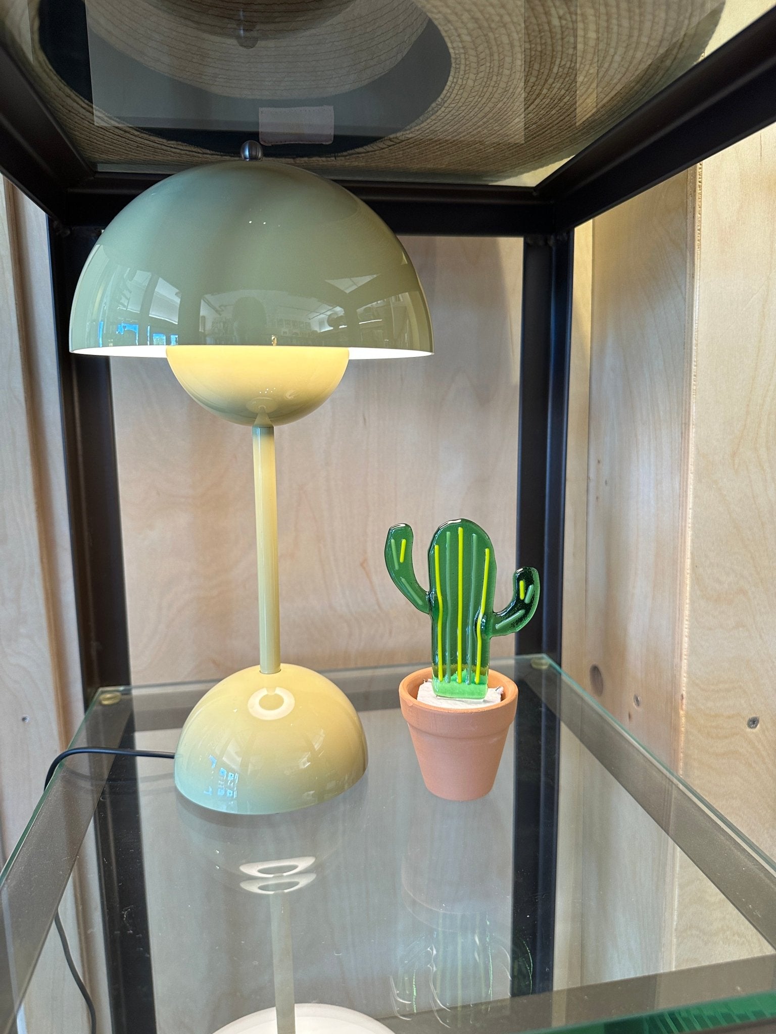 Striped Cactus - Joy