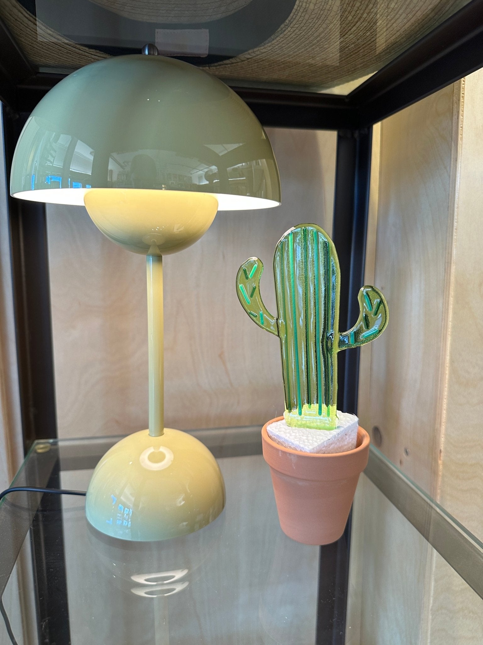 Striped Cactus - Joy
