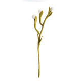 Felt Billy Buttons: White
