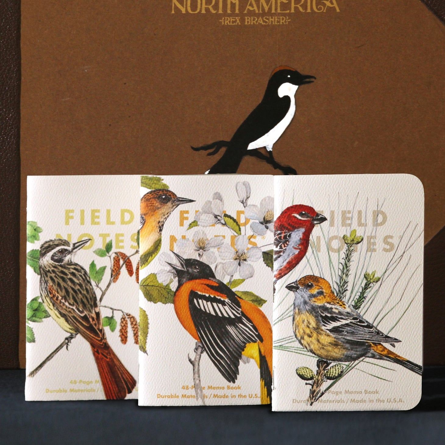 Birds & Trees of North America 3-Pack Notebooks