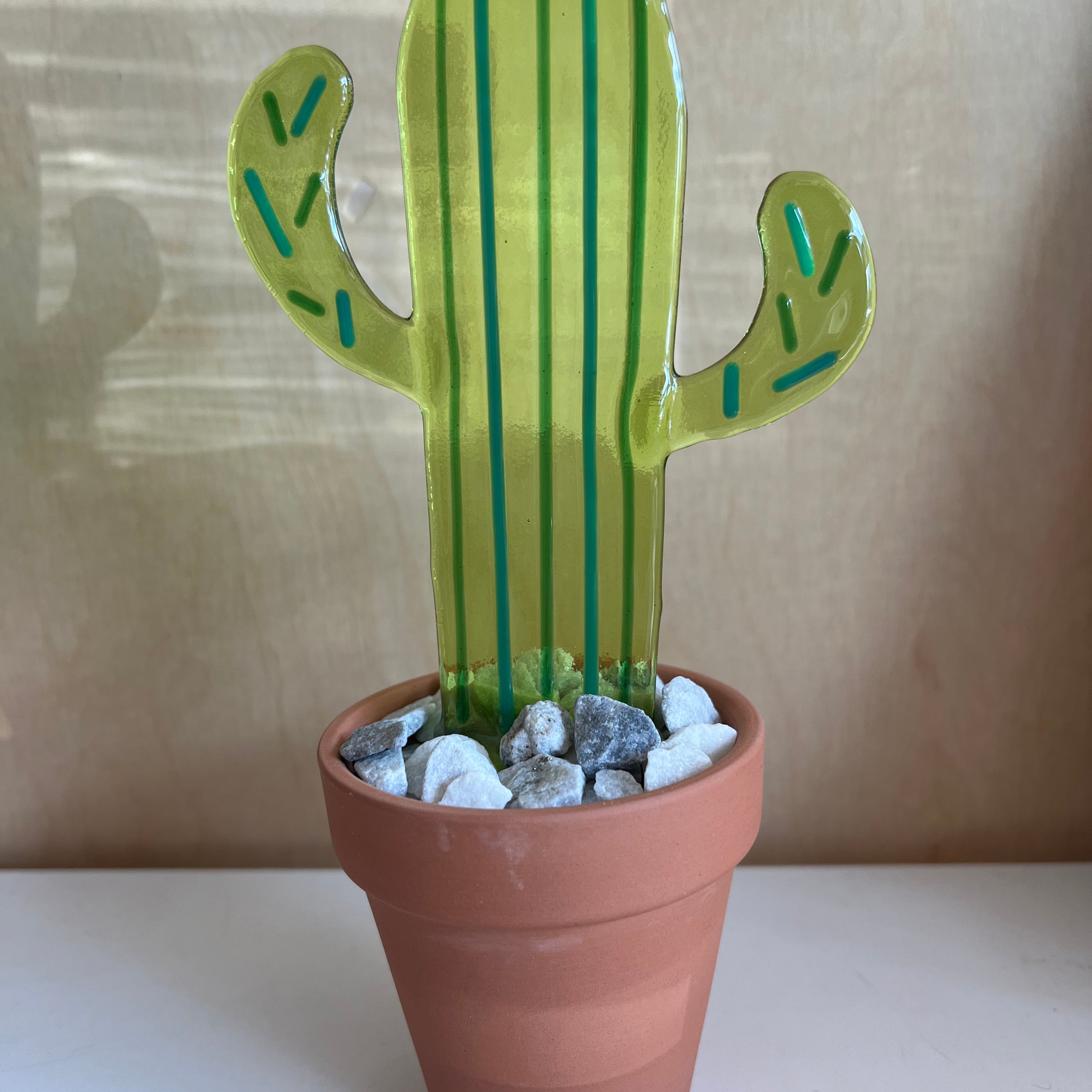 Striped Cactus