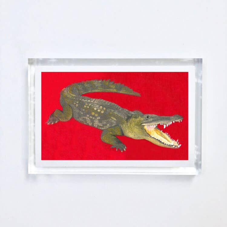 Alligator Print With Acrylic Frame - Joy