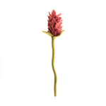 Alpinia Leaf Felt Flower - Joy