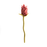 Alpinia Leaf Felt Flower - Joy