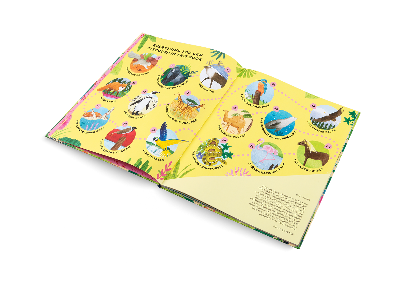Animals Everywhere - Joy Gift Shoppe