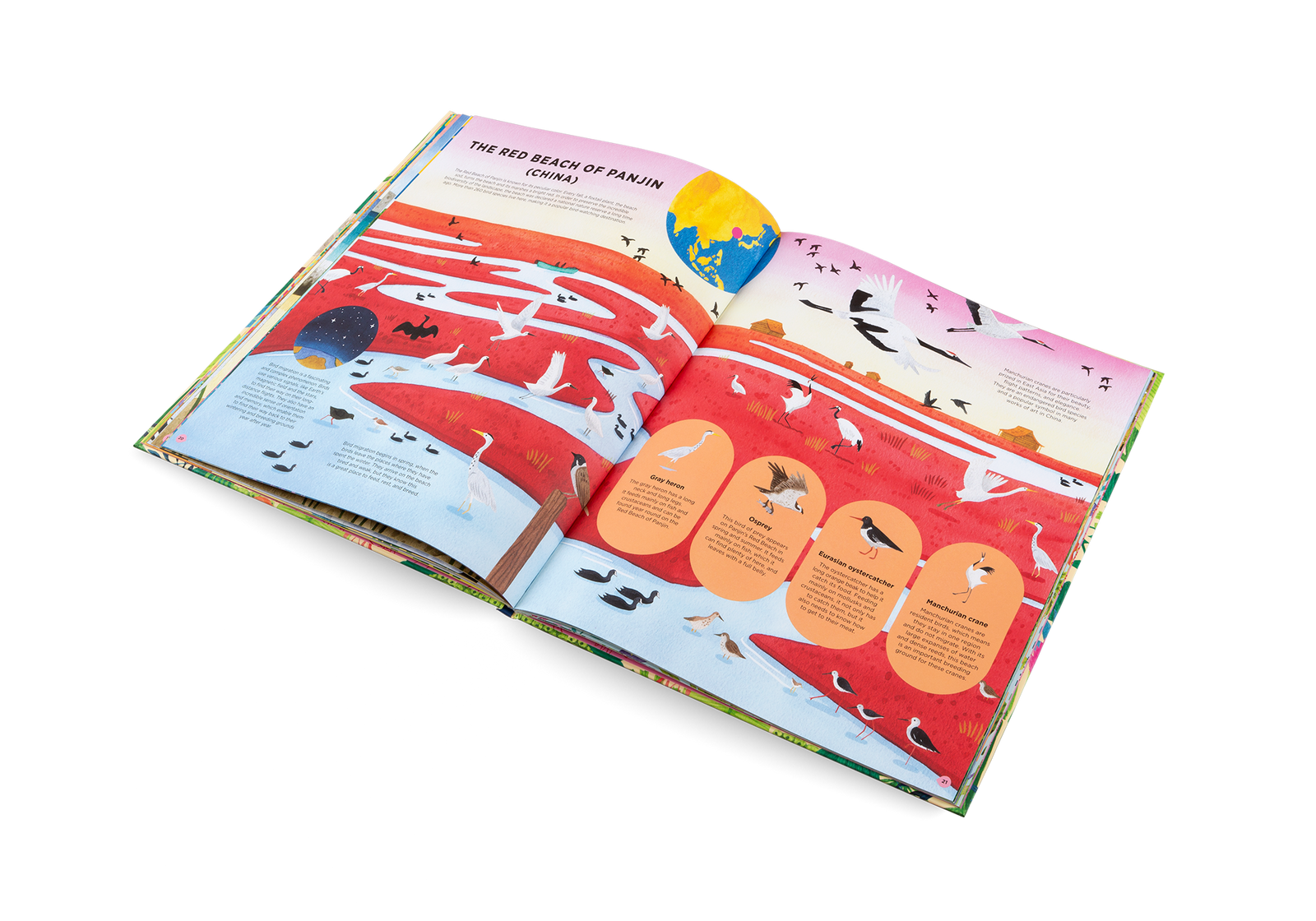 Animals Everywhere - Joy Gift Shoppe
