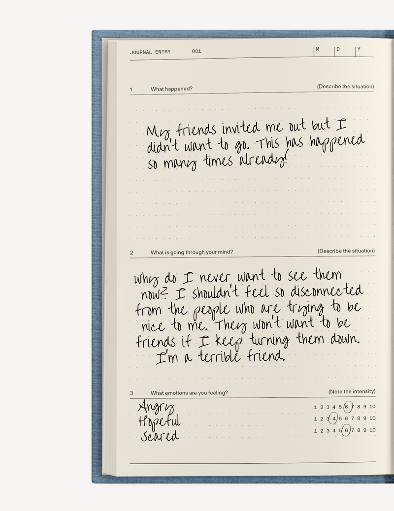 Anti Anxiety Notebook - Joy