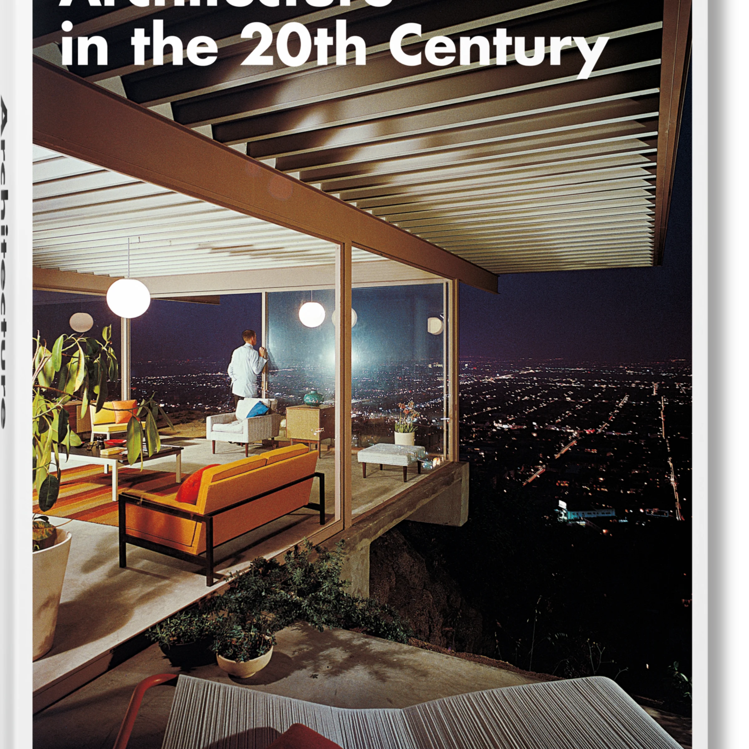 Architecture in the 20th Century - Joy