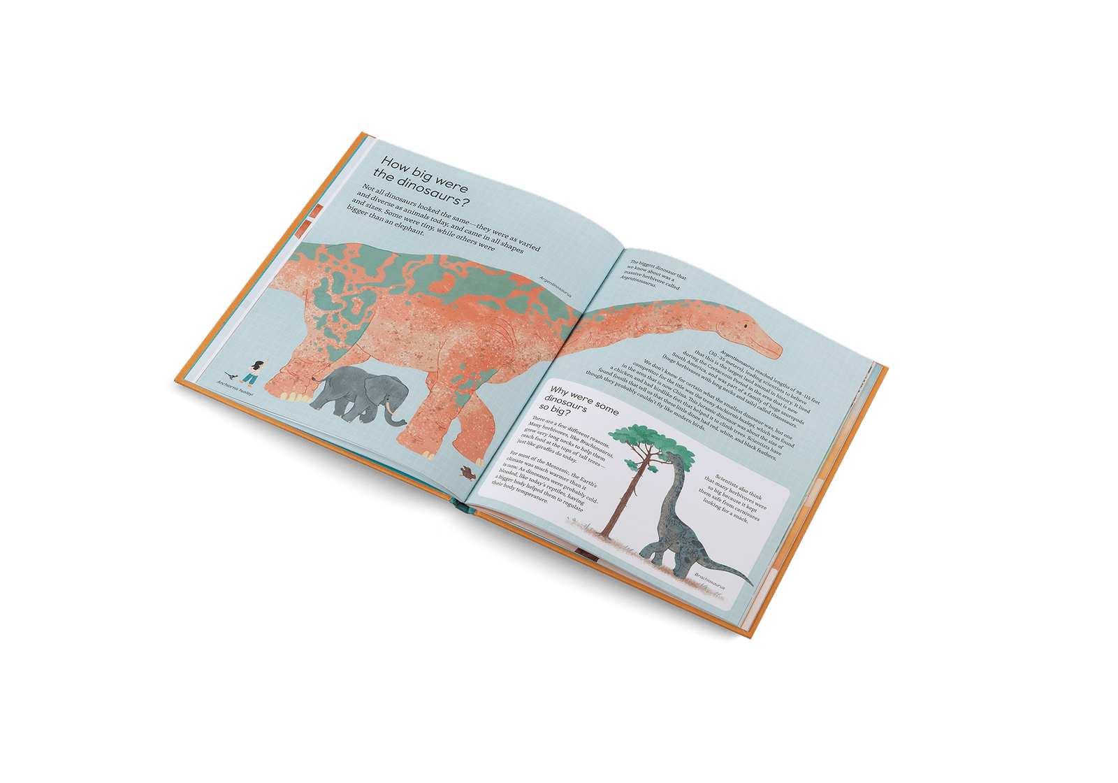 Ask Me About Dinosaurs - Joy Gift Shoppe