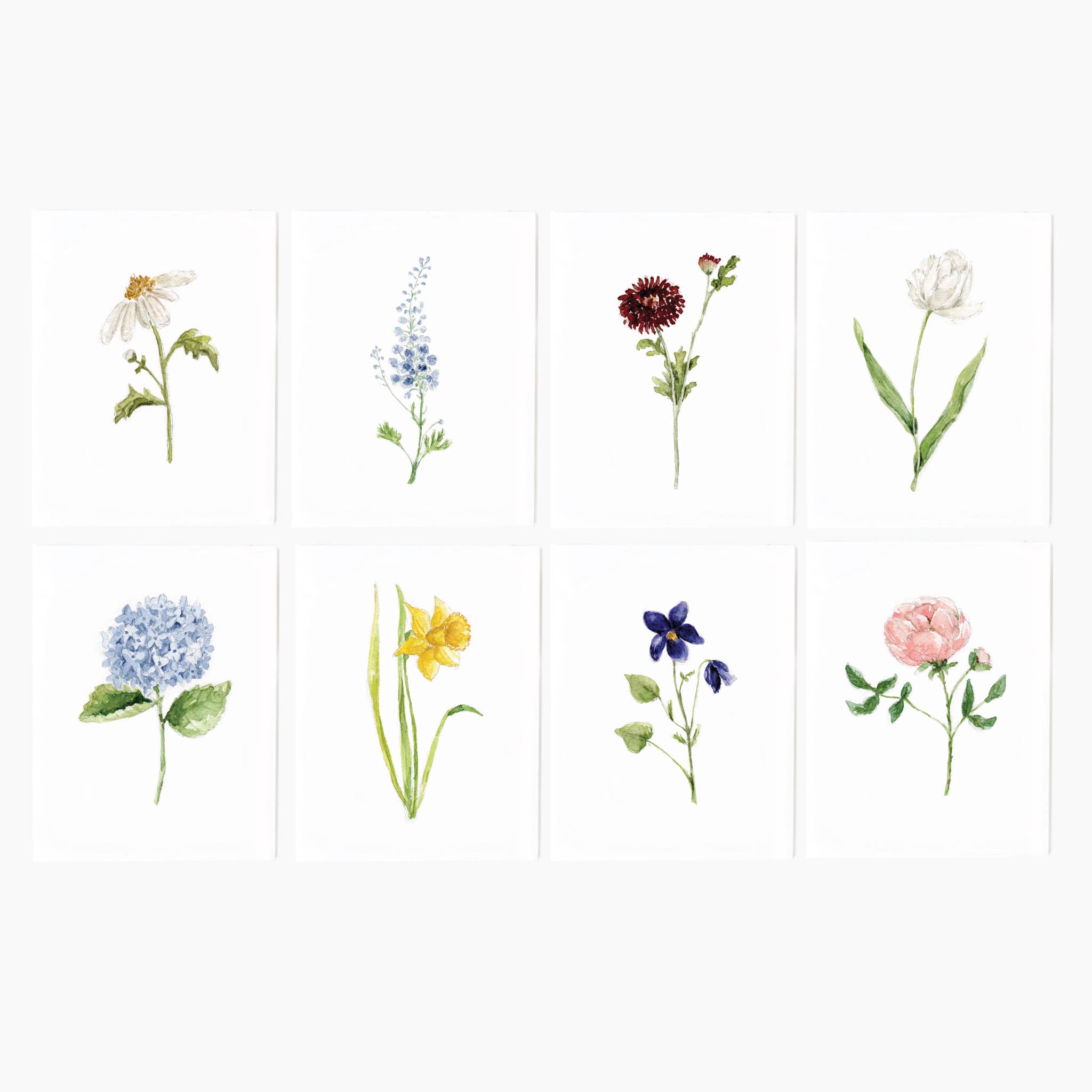 Assorted garden flowers notecard set - Joy