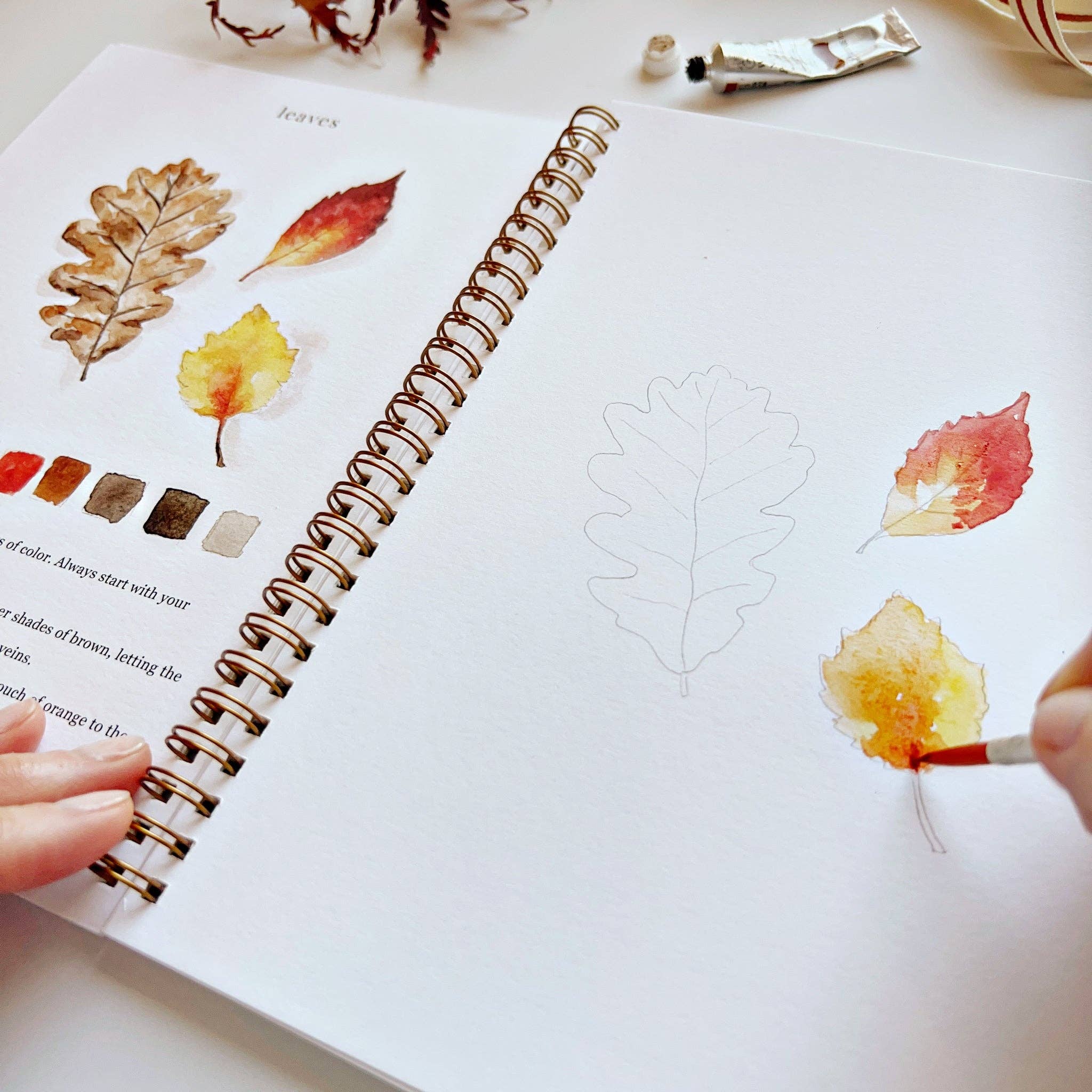 Autumn Watercolor Workbook - Joy
