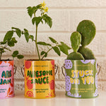 Awesome Sauce - Cherry Tomato Grow Kit - Joy