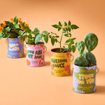 Awesome Sauce - Cherry Tomato Grow Kit - Joy