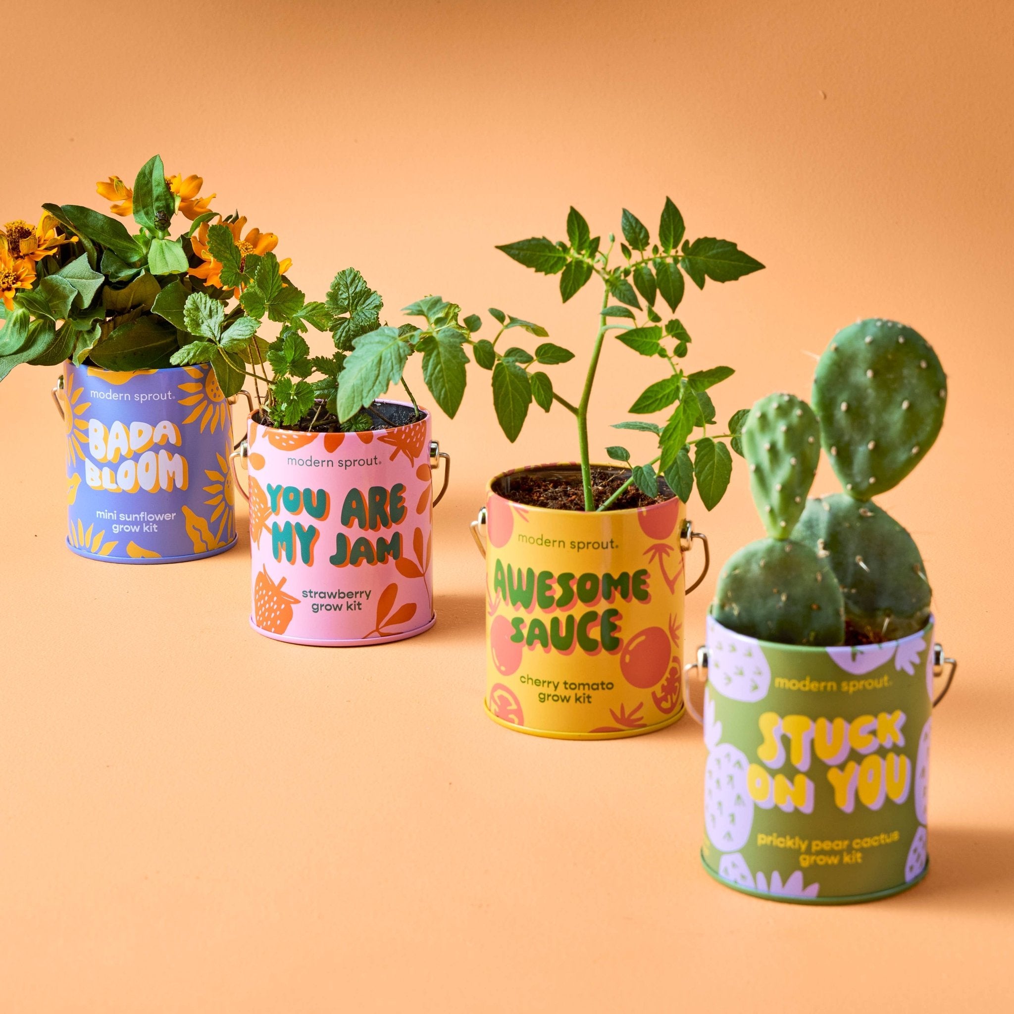 Awesome Sauce - Cherry Tomato Grow Kit - Joy