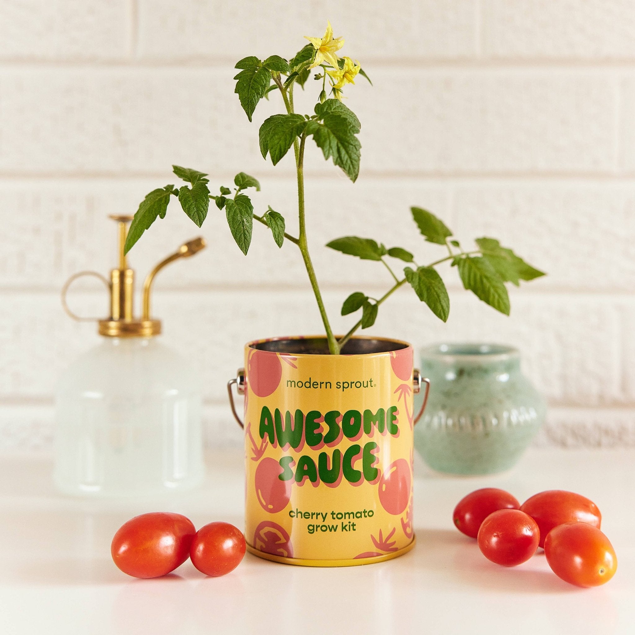 Awesome Sauce - Cherry Tomato Grow Kit - Joy