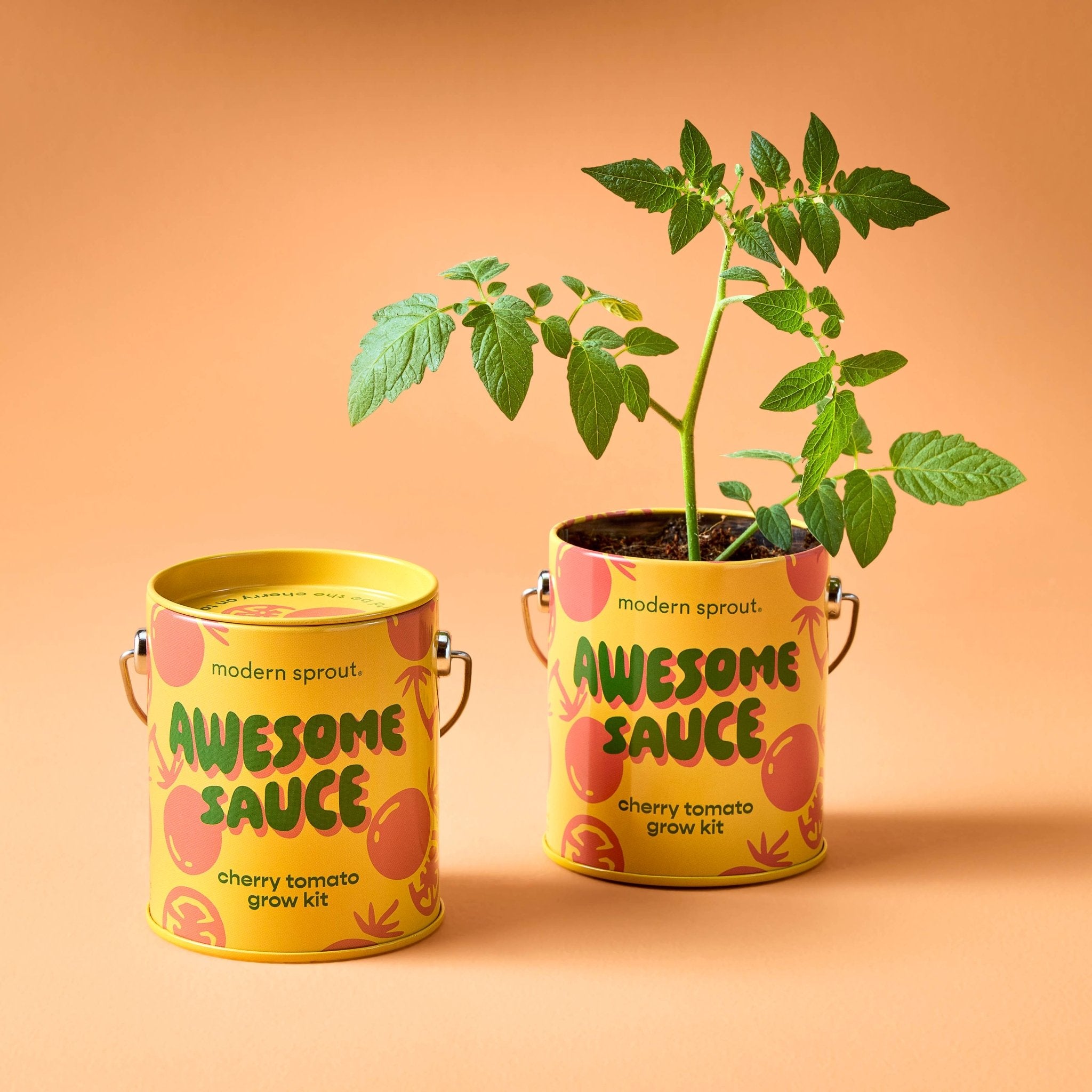 Awesome Sauce - Cherry Tomato Grow Kit - Joy