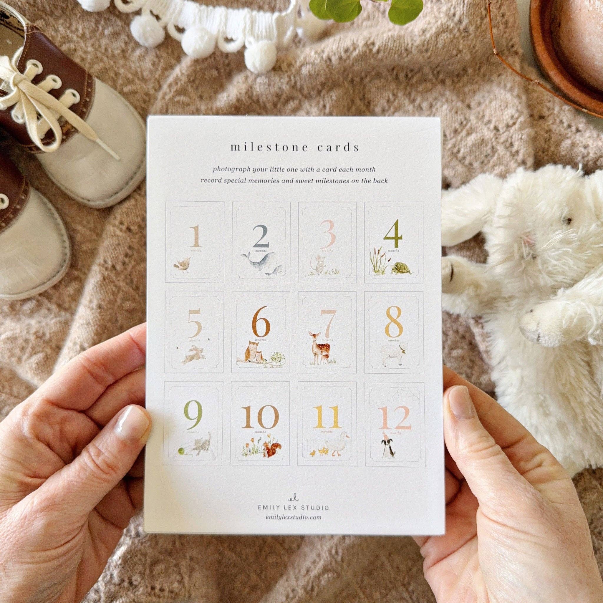 Baby Milestone Cards - Joy