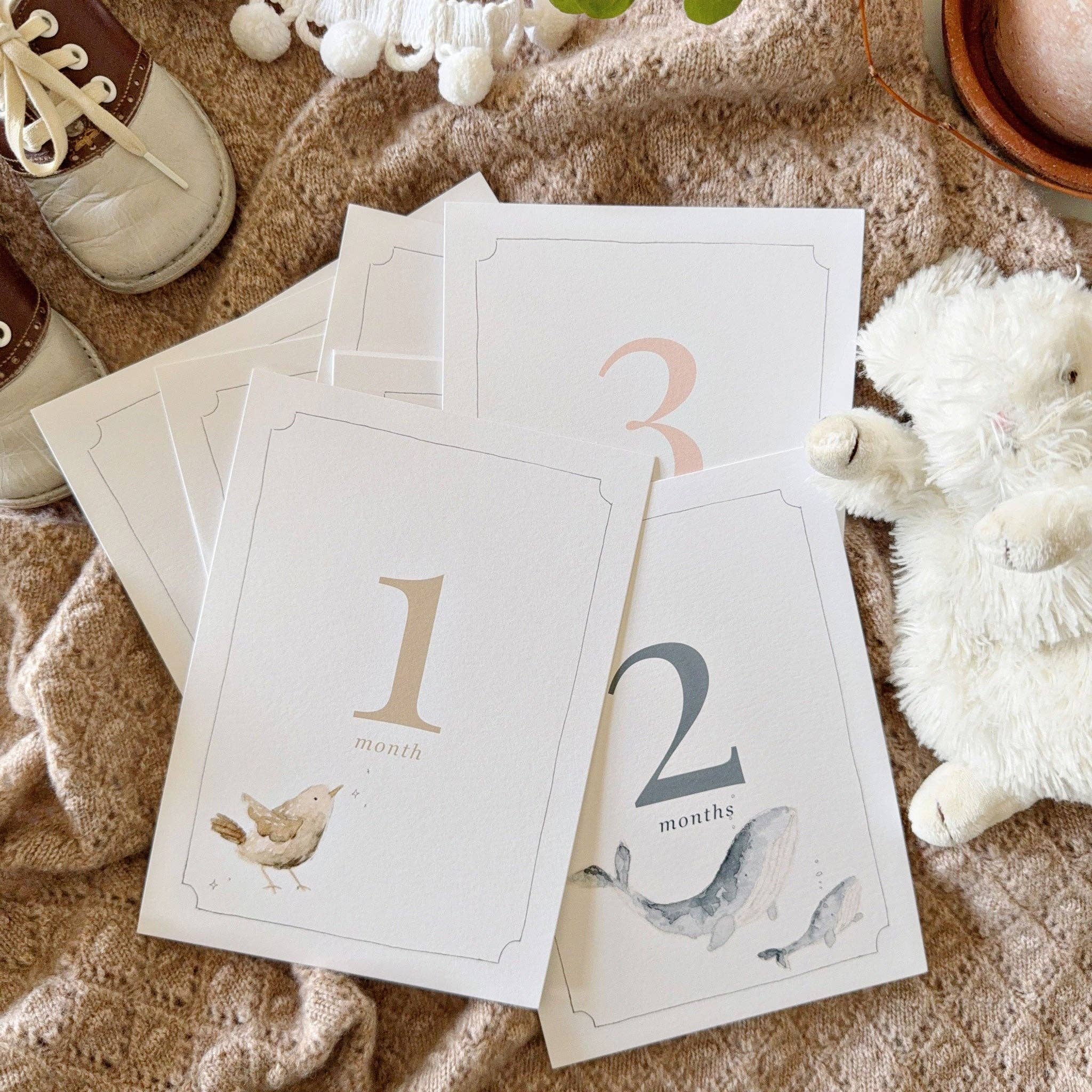 Baby Milestone Cards - Joy