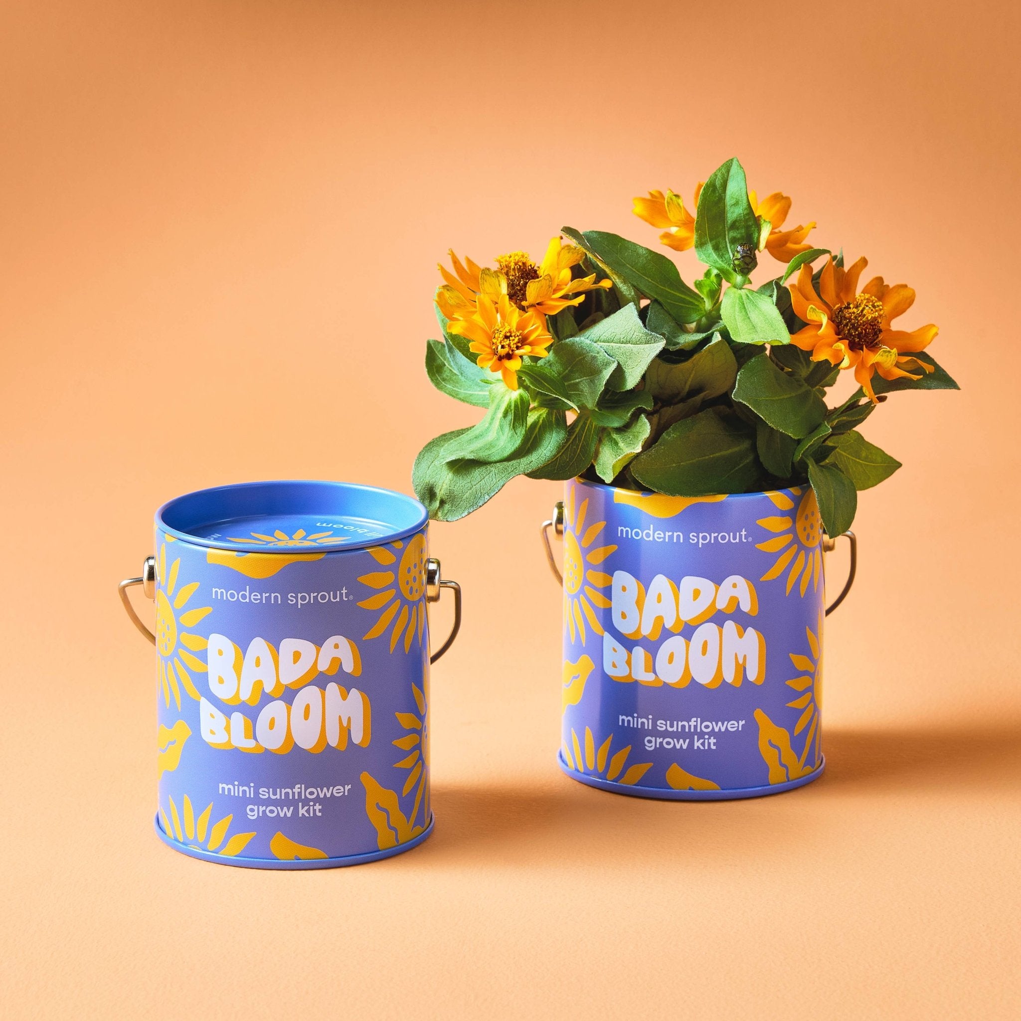 Bada Bloom - Mini Sunflower Grow Kit - Joy